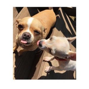 Meet your Posher, Gabrielle